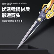 ��ë�����քӼ���ë�ļ�����ë���ü����ߏ����ù�ë������ë��