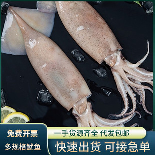 ���~���r�����~���~��ֻ���������������~�����F�����ú��rˮ�a