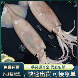 鱿鱼新鲜大鱿鱼尤鱼整只海捕船冻海捕鱿鱼烧烤铁板商用海鲜水产