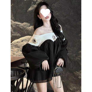 One-Shoulder Shirt for Women in Early Autumn, High-End, Light Luxury, Birthday Outfit for Socialites, Daughter of a Wealthy Family