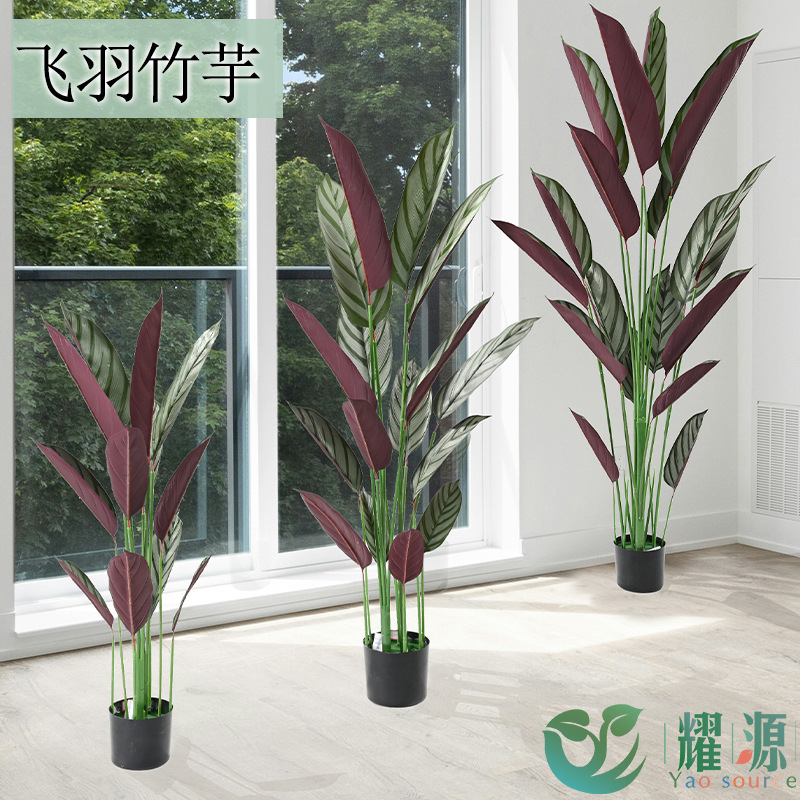 仿真飞羽竹芋 室内绿植装饰仿真树门店户外落地摆件盆栽人造假树
