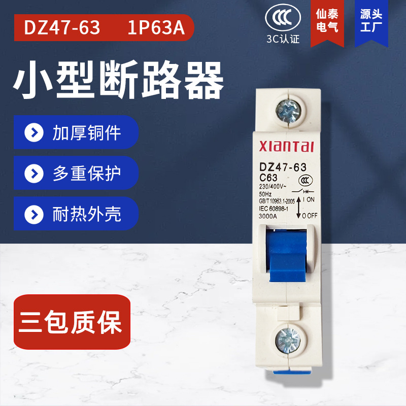 1P63低压断路器 供应C63空气开关  销售63A仙泰家用小型断路器