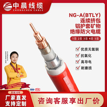 �S��ֱ��늾���|�����~о���׷���NG-A/BTLY�V���|��ȼ �ͻ�����