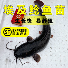 �������X�~�絭ˮ �Bֳʳ�ø�����T�~�絭ˮ�~���� �l��횺����T