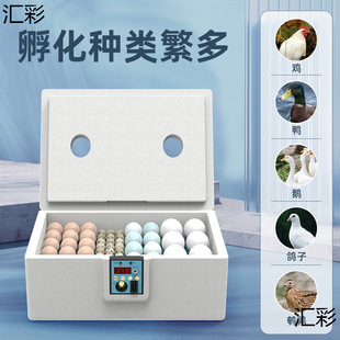 Incubator Small Water Bed Rutin Chicken Incubator Household Automatic Incubator Intelligent Incubator Small Chicken Duck Goose