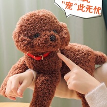 可爱泰迪狗毛绒玩具公仔狗狗玩偶小狗安抚娃娃生日礼物送女生