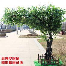 �����Ř���ͼ٘��S�Ƶ��҃����쾰�����Gֱֲ�����������b�