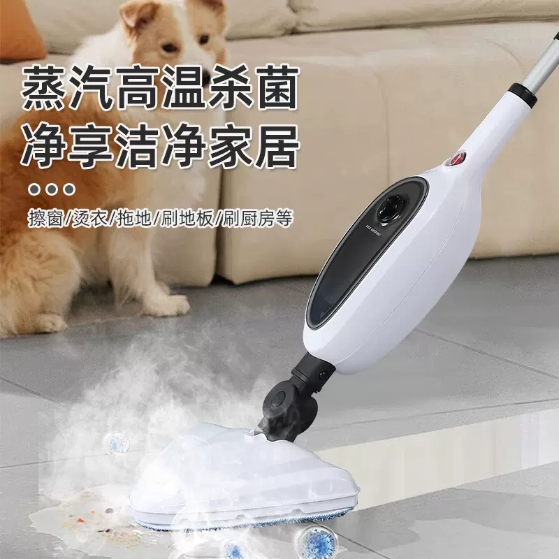 跨境手持高温电动蒸汽拖把亚马逊清洁神器家用多刷头拖把布清洁机