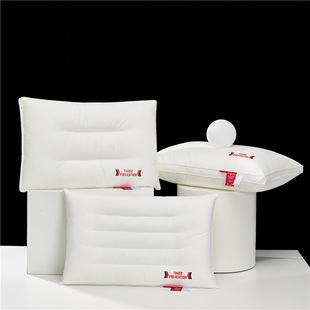Hotel with Class A cotton three-proof hotel pillow cotton manufacturers waterproof oil-proof anti-fouling pillow pillow wholesale