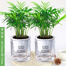 ����Ҭ�����ԾGֲˮ�໨���k�����҃��辰ֲ���ļ���������Ҭ����