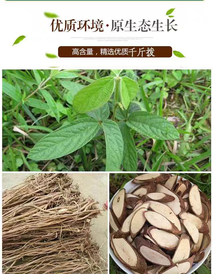 Qian Jin Ba Dried Root 500g Guangxi Flemingia philippinensis Traditional Chinese Herb for Cooking and Decoction key features