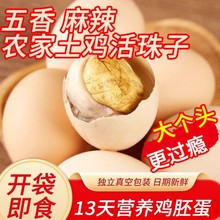 ���������r13������ζë��ë�u���_����ʳ����40ö���P��䓻�����