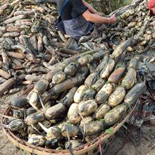 ɏźrźҜŴخaſ׬Fڎrź/l