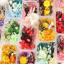 鲜花花艺制品;干花;永生花