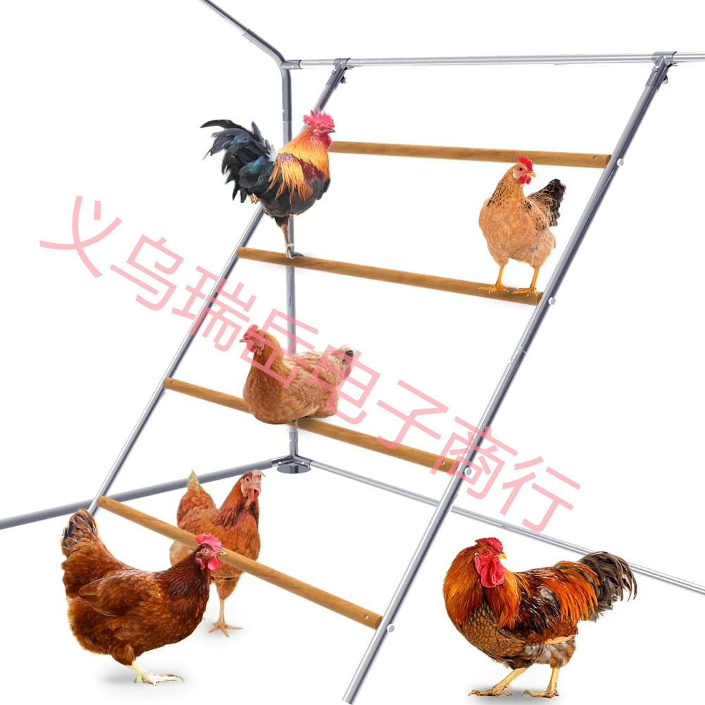 Трансграничные куриные ползти куриные лазают куриные лазаки куриные лазаки куриные лазаки