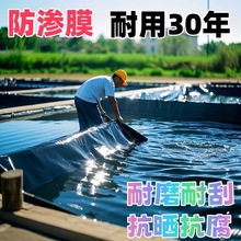 ˮBֳo·©~صĤĤ~BĤӺˮɫ