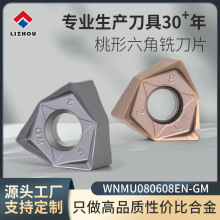 ���ص�ƬWNMU080608�p����M�oӲ�|�Ͻ�㊵�Ƭ���P䓼ӹ�㊵�����