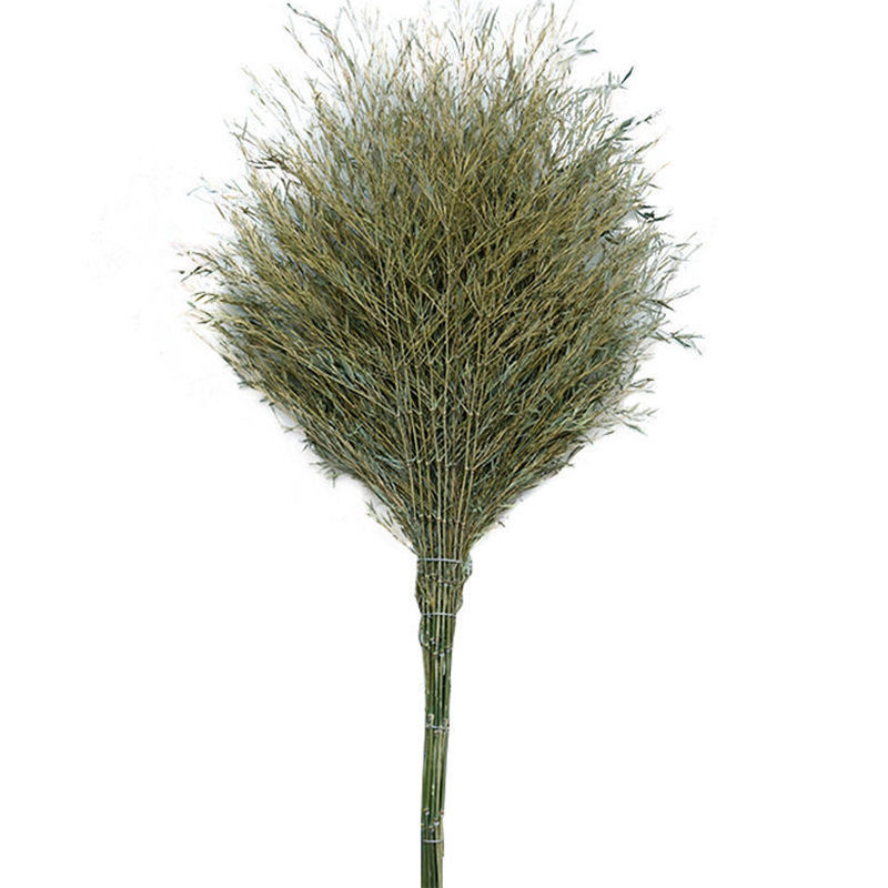 Bomba de bambú doméstica patio exterior carretera saneamiento limpieza de limpieza de suelo espeso bambú limpieza doméstica