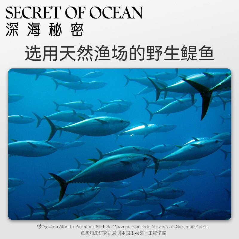 Secreto de las profundidades del mar Aceite de anchoa Cuidado de la piel para gatos Inmunidad especial para gatos Aceite de hígado de bacalao Perros Pet Prevenir la caída del cabello