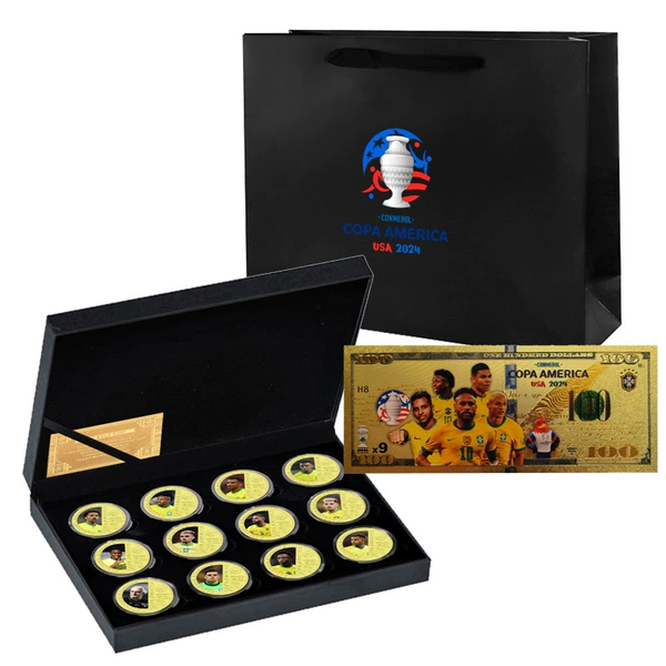 Brazilian 12-coin gift box + banknotes + handbag