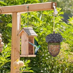 国境を越えて爆発したアマゾン庭園の装飾品ハチドリのドングリの鉄芸は鳥器樹脂工芸品の装飾を与えた