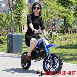 两轮摩托车;其他电动车;电动摩托车