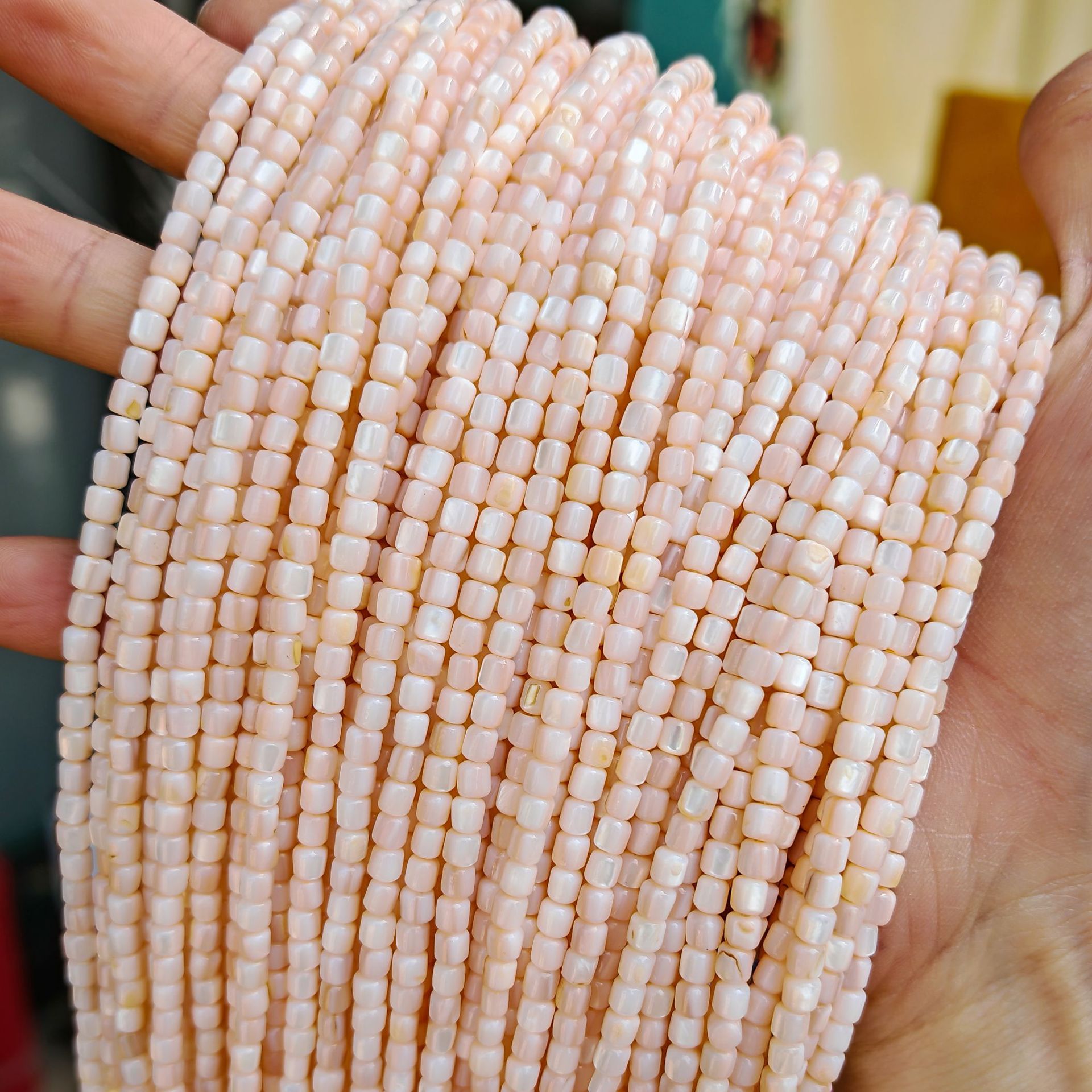 Concha de agua dulce-rosa