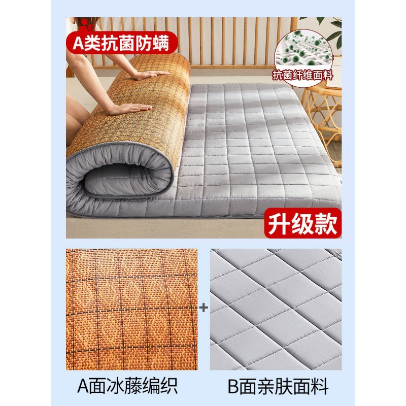Tatami Summer Ice Silk Mat Mattress Soft Cushion Student Dormitory Single Winter and Summer Dual-Use Foldableing Thin Home