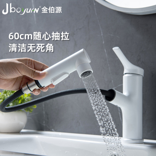 304 stainless steel water-plated matte white pull-out type washbasin multi-function faucet for bathroom and shower