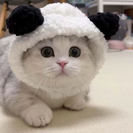 宠物帽子;宠物头饰;娃娃配饰