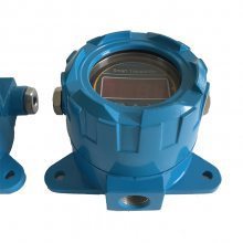 LDBW-211/11 Intelligent Temperature Transmitter Shanghai Shangrun Instrument