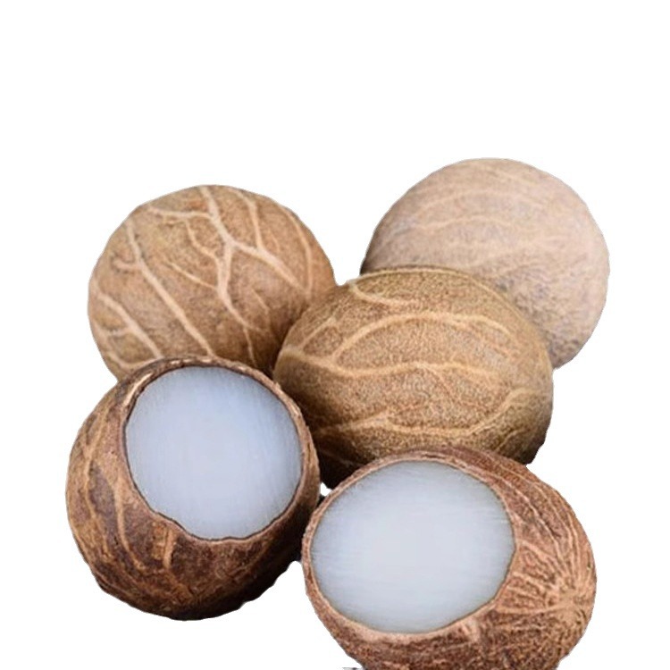 菩提根散珠