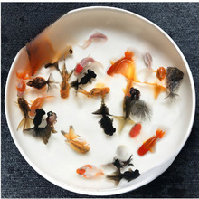 С���~���^�p�~��ˮ�ͻ���B�~��ˮ�t���\�����~С���~���~