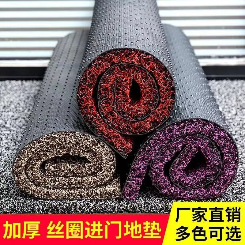 丝圈地垫超厚脚垫家用门垫除尘地垫走廊地毯汽车脚垫入户门口地垫