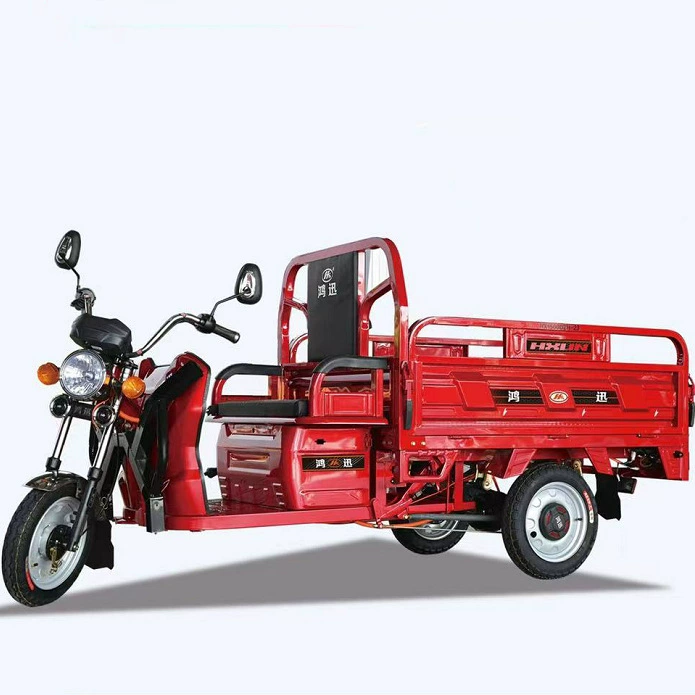 Внешняя торговля экспорт специализируется на высококачественных электрических трехколесных велосипедах 60 В, 32 Ач, 45 Ач, 800 Вт, 1000 Вт.