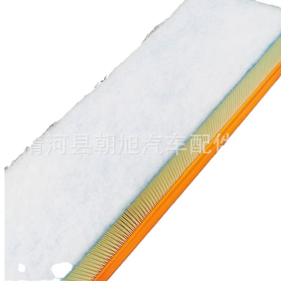 filter 13718570043, Air filter