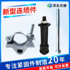 新型の壁の部品のメーカーの現物の卸売りの壁の留め具の建築の固定の外の棚の予備埋めの足場の壁の部品