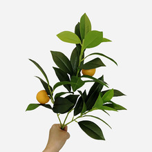 �����~�������滨�쾰�ٻ��Gֲ����~�Ҿ��҃�ܛ�b�[�O��ۘ��b�