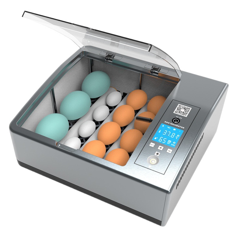 Jiayu incubadora de pollo pequeño hogar incubadora automática huevo paloma incubadora inteligente