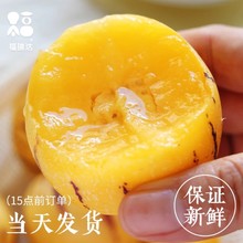 云南石林人参果10新鲜水果七彩整箱人心斤人叁黄肉圆果包邮中国