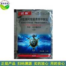 10�� 5%�׾S�}���{С�˶ꚢ�x���װ������S���ر������}⛾S�}