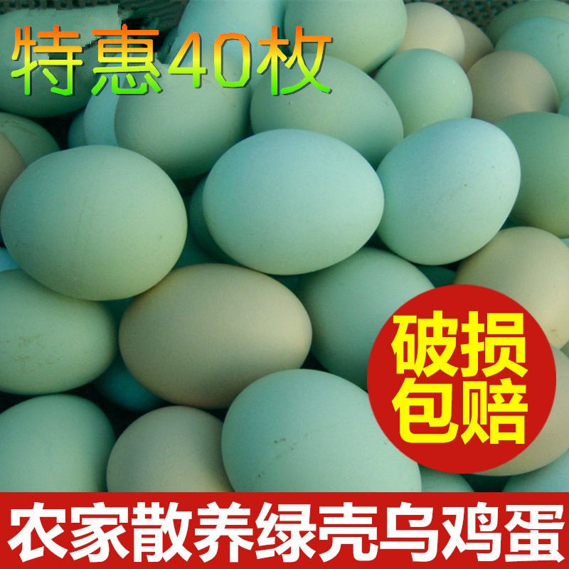乌鸡蛋批发新鲜绿壳散养土鸡蛋笨鸡蛋月子整箱厂家代发跨境亚马逊