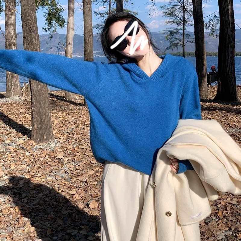 克莱因蓝色连帽毛衣女深秋初冬季穿搭2025新款慵懒高级感针织上衣|undefined