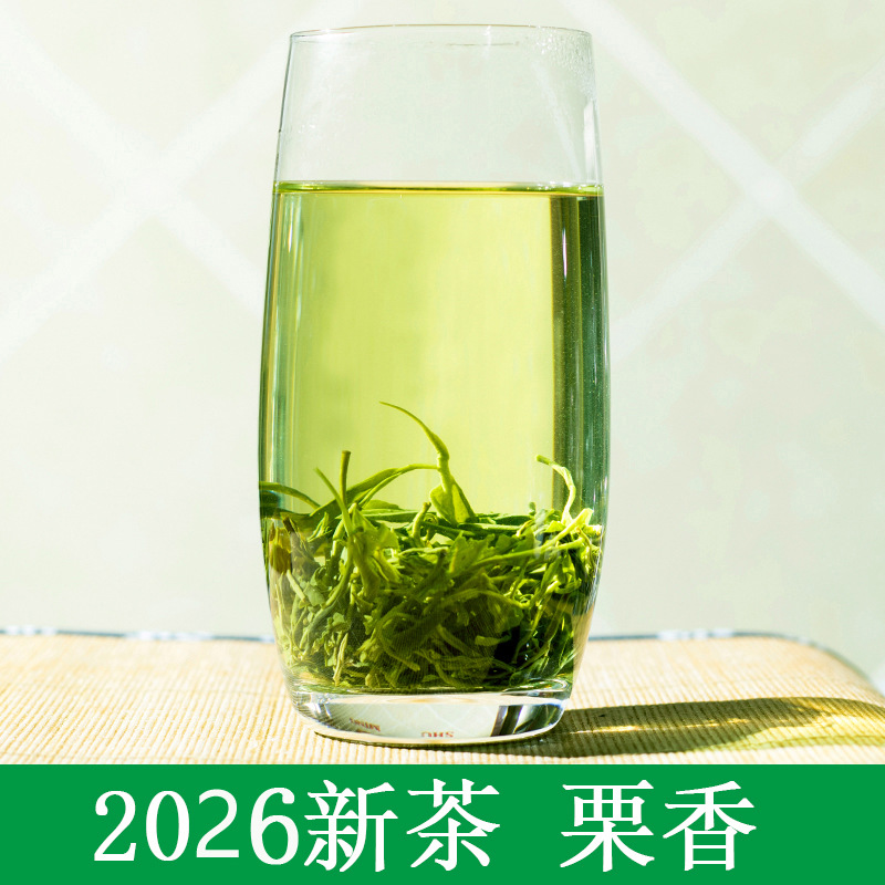 2026新茶蜀茗润四川雅安绿毛峰茶叶散装明前绿茶500g散装绿茶