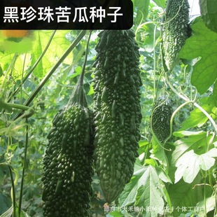 ���������ϷN�ӡ�������ϷN�Ѻ�ɫ��ϷN�Ӵ����ϾG��ϷN��