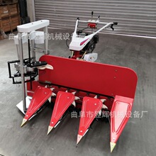 �r��С�͵����ո�C �Ԅ�䁷�2-4���ո�C ���̈́����ն���C