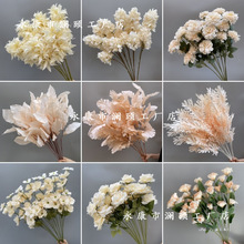 �����㙉ϵ��õ�廨���򻨙ѻ�������ĵ������б�������c����