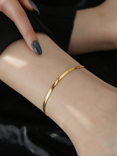 Stainless steel snake bone chain European and American fashionable simple design 18K gold-plated titanium steel anklet with temperament and versatile