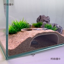 爬宠洞穴鱼缸躲避屋观赏鱼虾造景地下洞穴单双洞口饲养缸创麦太保