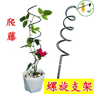 �������ټ����F��ɏ�¼���֧�ܻ���ֲ������֧���҃ȹ̶���֧�ΗU
